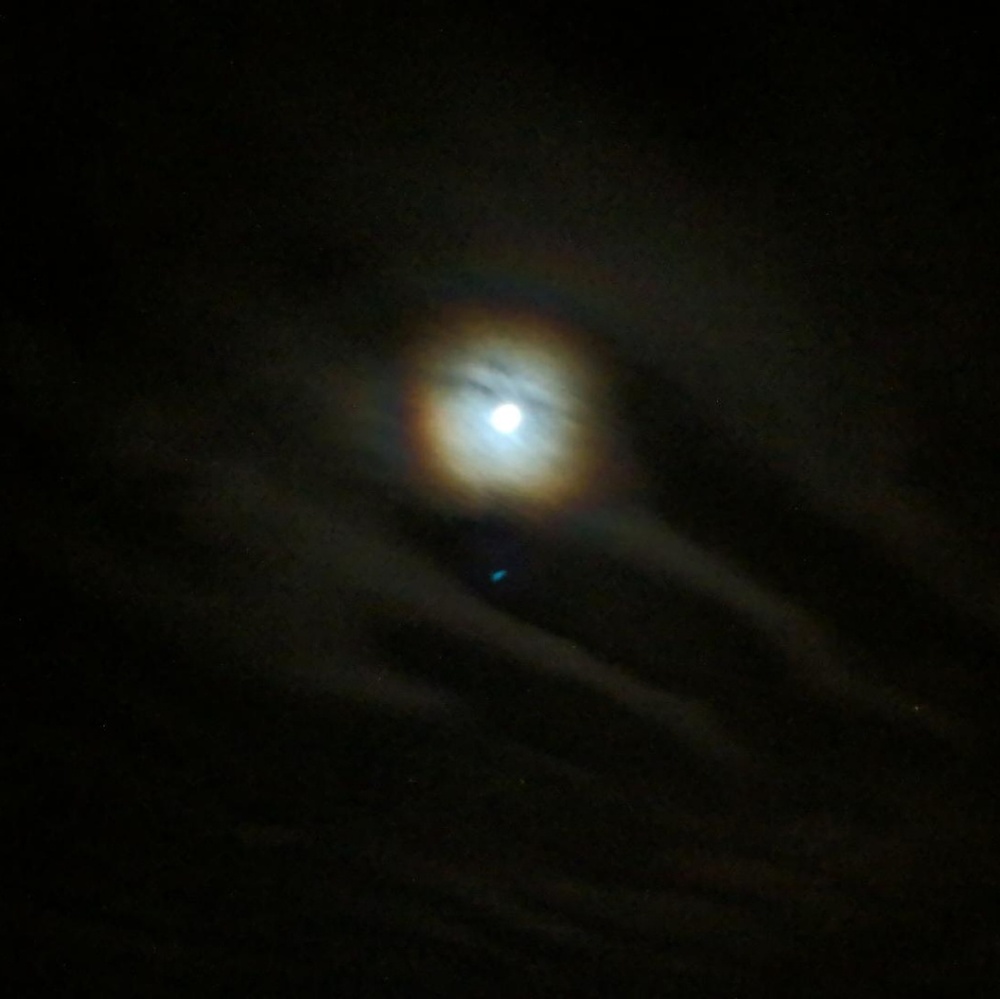 Meet your Posher, Jen